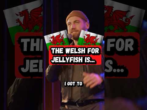 Youtube: Welsh for Jellyfish is WHAT?! #standup #comedy