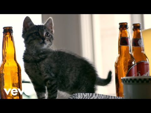 Youtube: Steel Panther - Poontang Boomerang