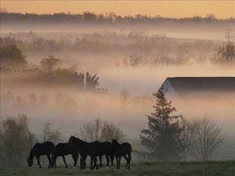 Youtube: Lisa Gerrard-One Perfect Sunrise