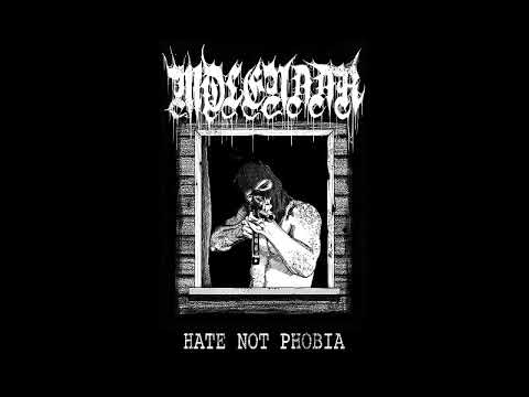 Youtube: Molenaar - Hate Not Phobia Demo [2018 Crust Punk / D-beat]