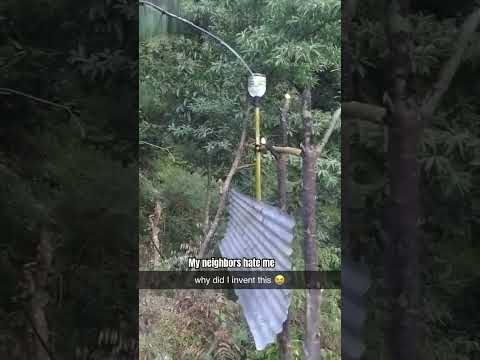 Youtube: My neighbors hate me ￼