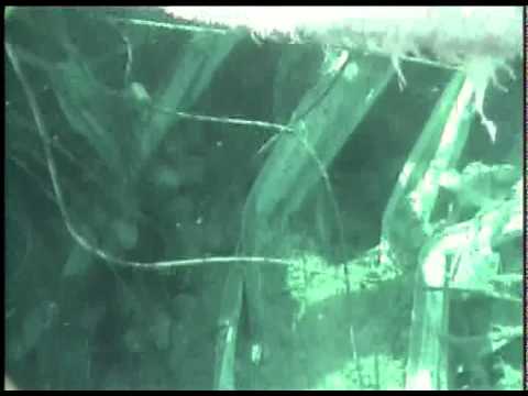 Youtube: Spent Fuel Pool of Unit 3 at Fukushima Daiichi Nuclear Power Station