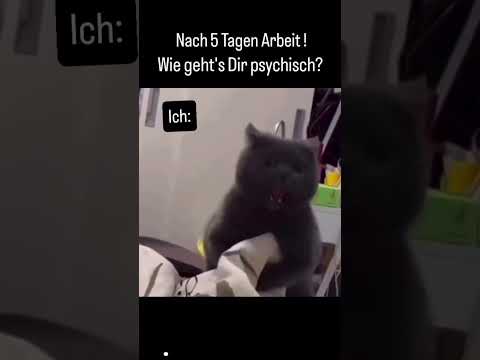 Youtube: Nach 5 Tagen Arbeit #lustigevideos #funny #funnyshorts #lustig #funnyvideo