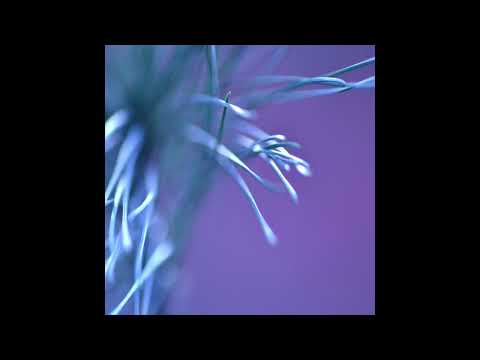 Youtube: Ness - In The Meanderings Of Shibuya [TGP11]