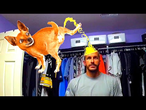 Youtube: Trauma Dog Alerts *Chris Watts Case*