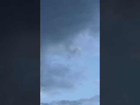 Youtube: UFO? Schrott? Ballon? WTF!