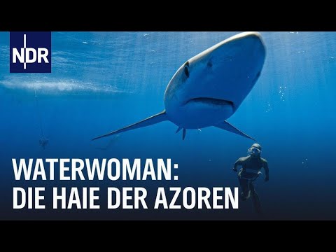 Youtube: Waterwoman | Folge 1: Hautnah bei den Haien der Azoren | NDR Doku