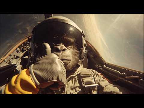 Youtube: Kula Shaker - Good Money (Official Video)