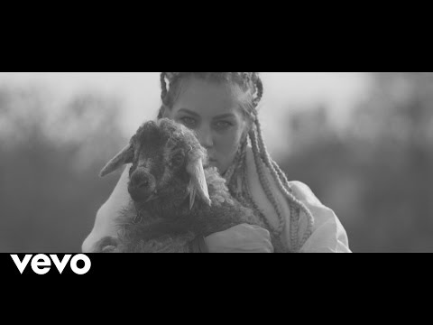 Youtube: Elliphant - Where Is Home (Official Video) ft. Twin Shadow