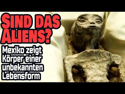 Youtube: Sind das Aliens? - Mexiko zeigt Körper einer unbekannten Lebensform