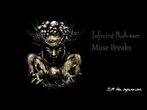 Youtube: Infected Mushroom - Muse Breaks RMX