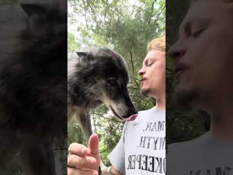 Youtube: Relaxing with Nahkato and Waffles.