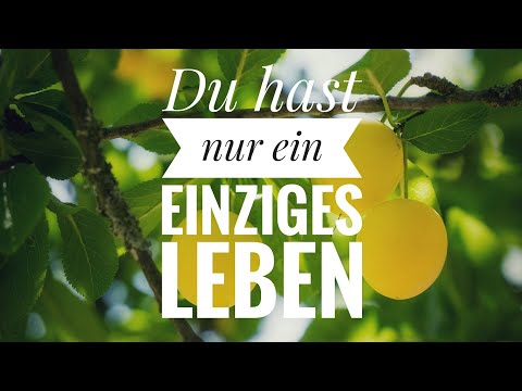 Youtube: Du hast nur ein einziges Leben - Pfarrer Wilhelm Busch