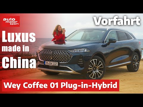 Youtube: WEY Coffee 01: Unschlagbare Reichweite zum unschlagbaren Preis - Fahrbericht | auto motor und sport