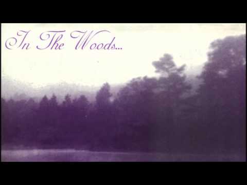 Youtube: In the woods - Yearning the seeds of a new dimension