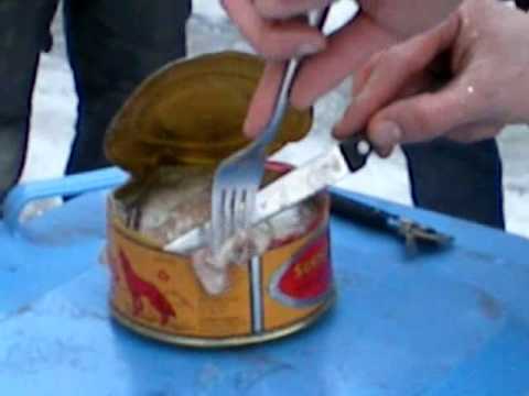 Youtube: Surströmming Schwedischer Stinkefisch