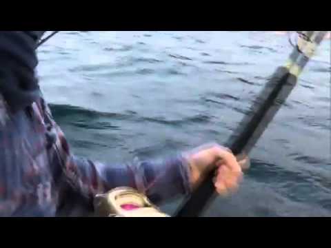 Youtube: Megalodon attacks boat south africa