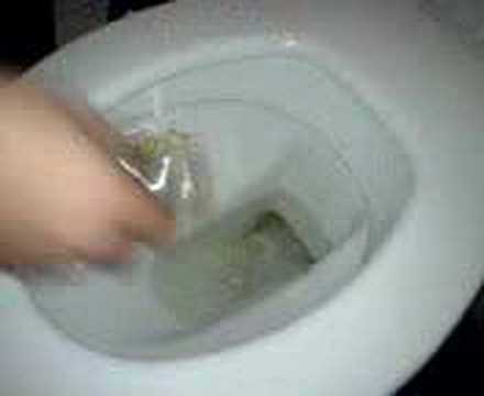 Youtube: WC-Trinker - Ramon trinkt aus der Scheisse