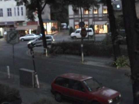 Youtube: Wildschweine in Berlin