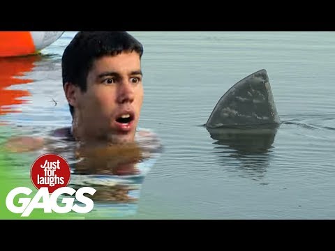 Youtube: Shark Attack Prank