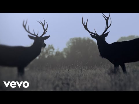 Youtube: Ihsahn - PILGRIMAGE TO OBLIVION