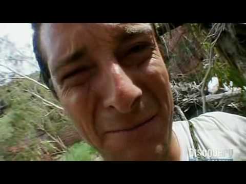 Youtube: Bear Grylls Eats Live Spider