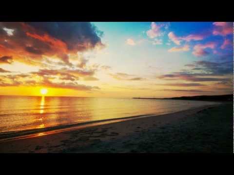 Youtube: T.E.E.D - Garden (Calibre﻿ Remix) at Sun and Bass 2011