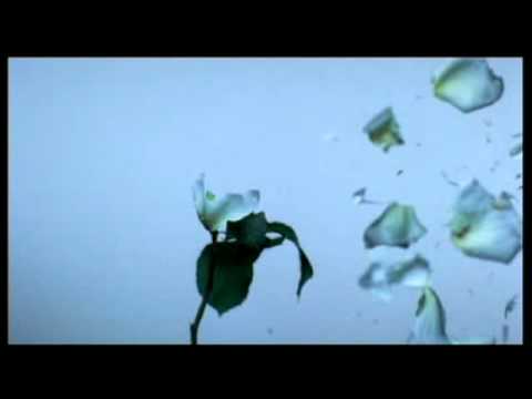 Youtube: Amon Tobin - At the end of the day