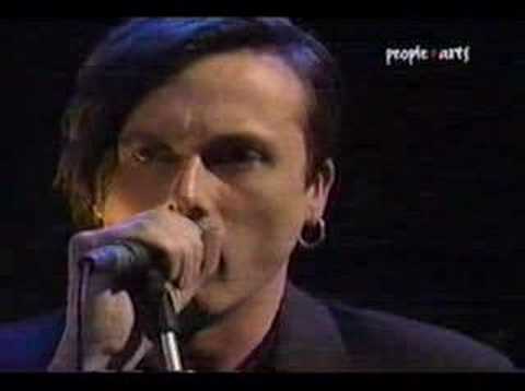 Youtube: suede - STILL LIFE
