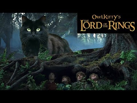 Youtube: Lord of the Rings + My Cat