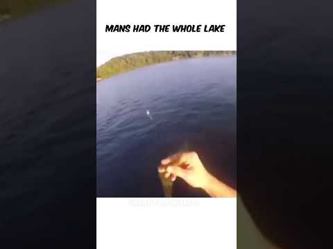 Youtube: Mans had the whole lake #fyp #funny #comedy #shorts #shortvideos #short #meme #memes #memesdaily