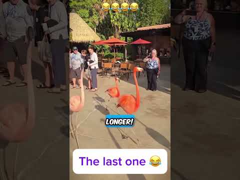 Youtube: The conversation I walked in on this morning    😳🗣️