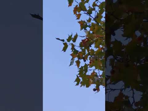 Youtube: UFO? Was ist das?