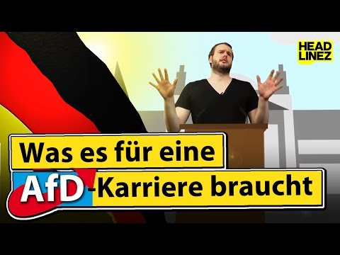 Youtube: Was es für eine AfD-Karriere braucht | HEADLINEZ