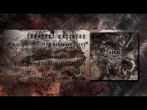 Youtube: Indecent Excision-Transfigured Corpse Mutilation(Promo 2017)