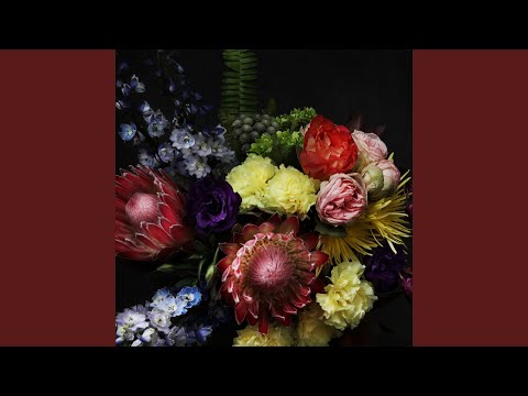 Youtube: Happy Birthday Dark Star