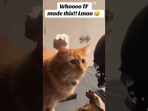 Youtube: Yoo who did this lol 😂 #youtube #roblox #memeclip #funnyimages #funny #youtuberslife #funnydance