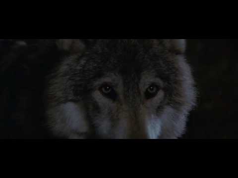 Youtube: Dances With Wolves - Fire Dance