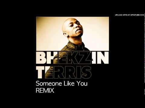 Youtube: Adele - Someone Like You (Bhekzin Terris Remix)