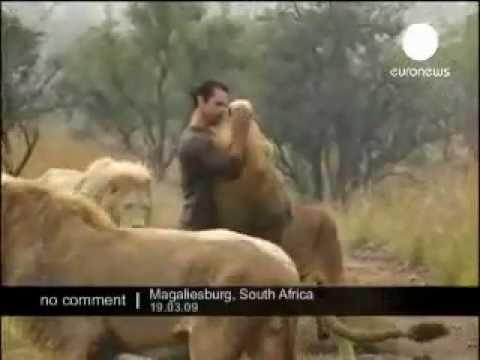 Youtube: Löwen und Pfleger. Kuschelt und spielt mit Löwe. Unglaublich