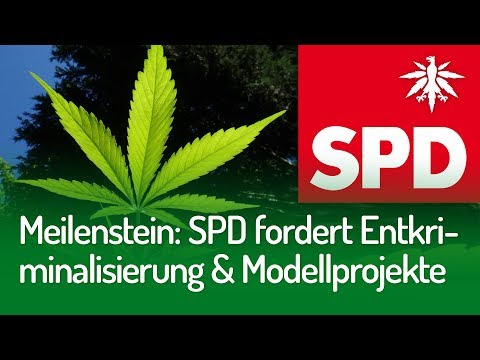 Youtube: Meilenstein: SPD-Fraktion für Entkriminalisierung und Modellprojekte | DHV-News #237