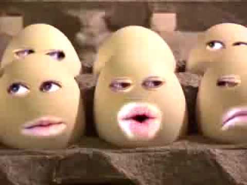 Youtube: Eggs