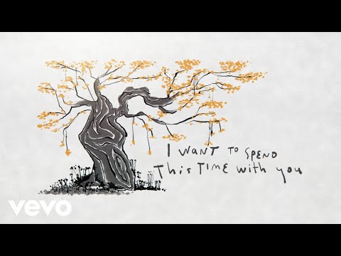 Youtube: Cat Stevens - Can't Keep It In (Lyric Video)