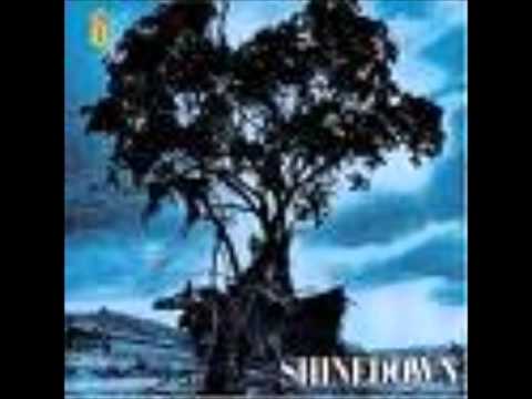 Youtube: Shinedown - 45 (Acoustic)