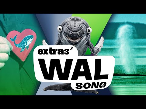 Youtube: Song für Ostsee-Wal Timmy: Und alle haben Mitleid | extra 3