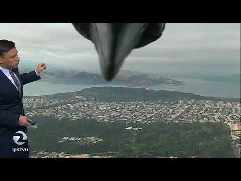 Youtube: Bird photobombs weather report