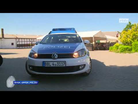 Youtube: Doku - Ermordeter Unbekannter in Metallkiste in der Elbe gefunden
