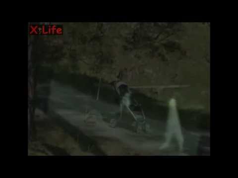 Youtube: Strange_Alien_Stick_like_creatures ( Nightcrawler) Fresno_in_Yosemite-3 Videos Collection.flv