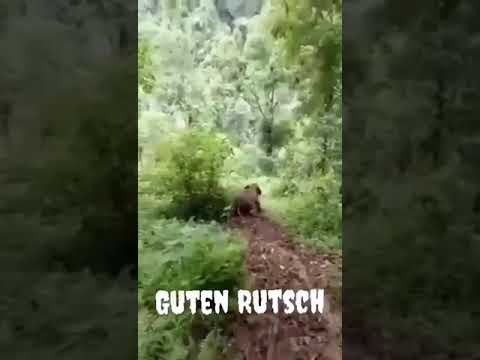 Youtube: Guten Rutsch . . Happy New Year | Elefant rutscht.. juhuu | слон катается | с новым годом