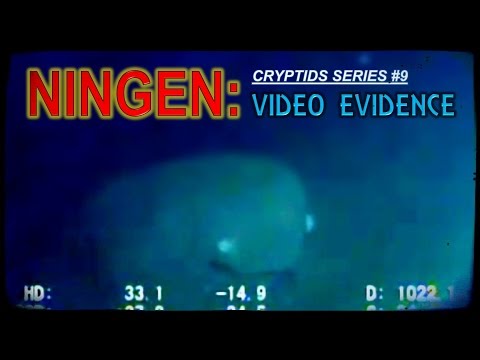 Youtube: NINGEN: video evidence